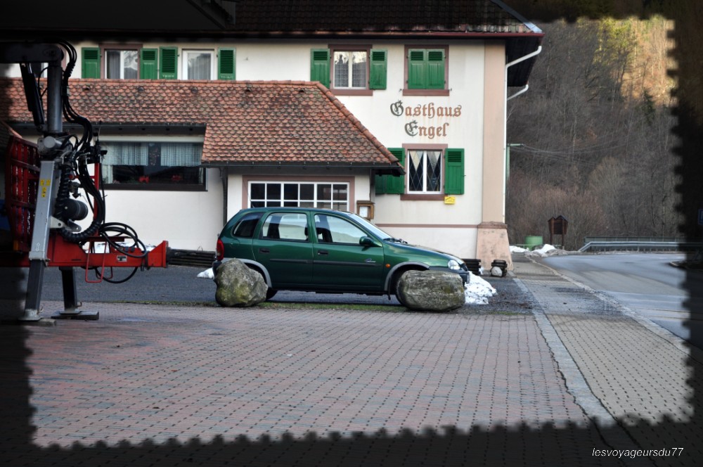 DSC_2809-1 [1000X750].JPG