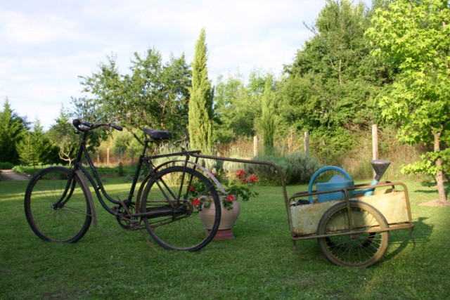 desiree 200609145.jpg