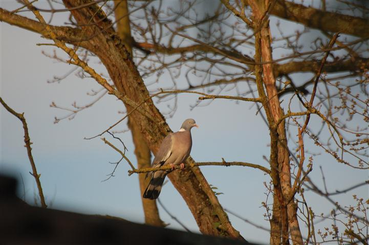 DSC_5357 (Small).JPG