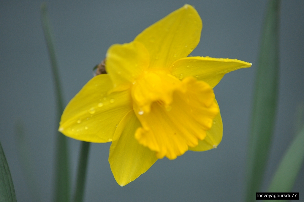 DSC_3777-1 [1024x768].jpg