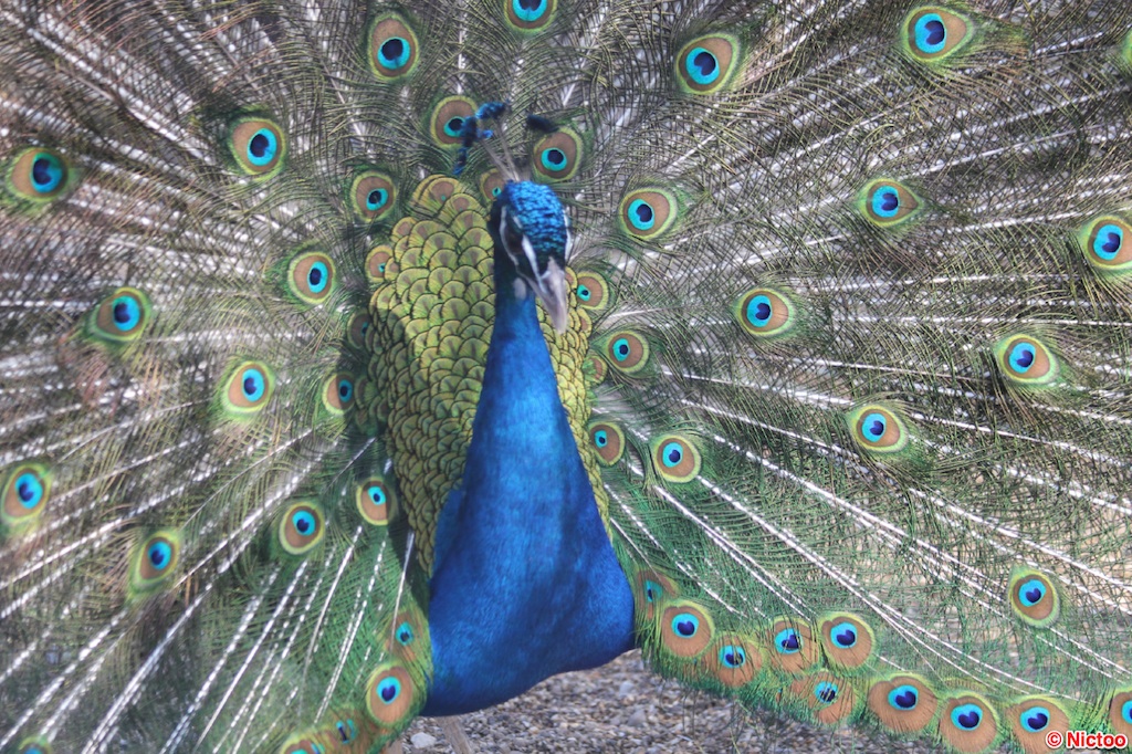 IMG_0526.JPG (184_2047).jpg