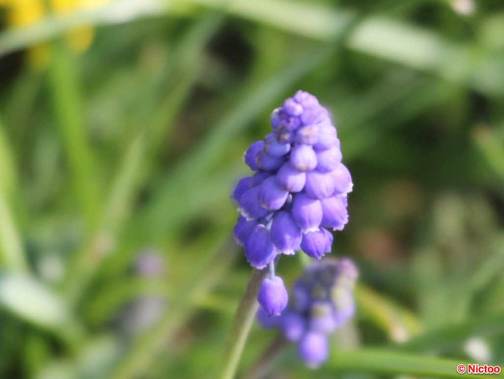 IMG_0545.JPG (203_2046).jpg