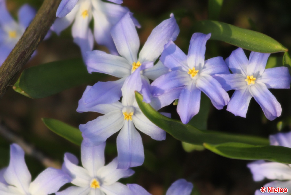 IMG_0570.JPG (229_2047).jpg