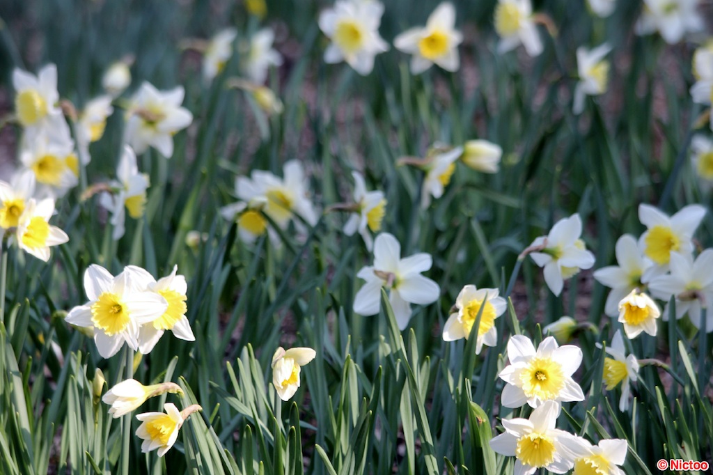 IMG_0580.JPG (239_2047).jpg