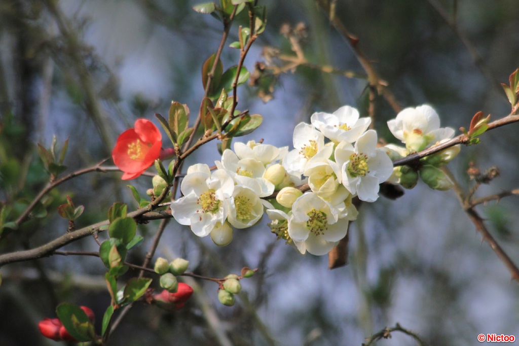 IMG_0627.JPG (292_2053).jpg