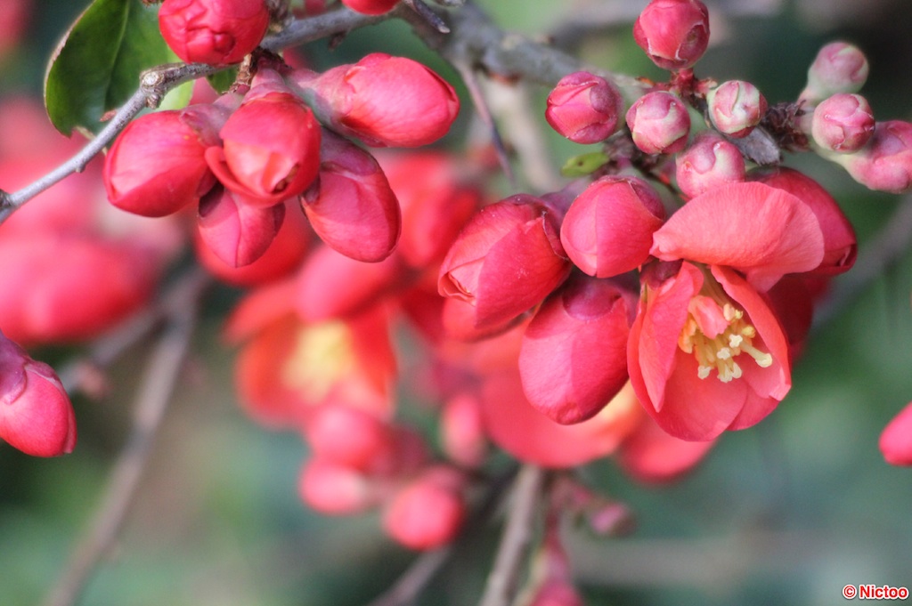 IMG_0629.JPG (294_2053).jpg