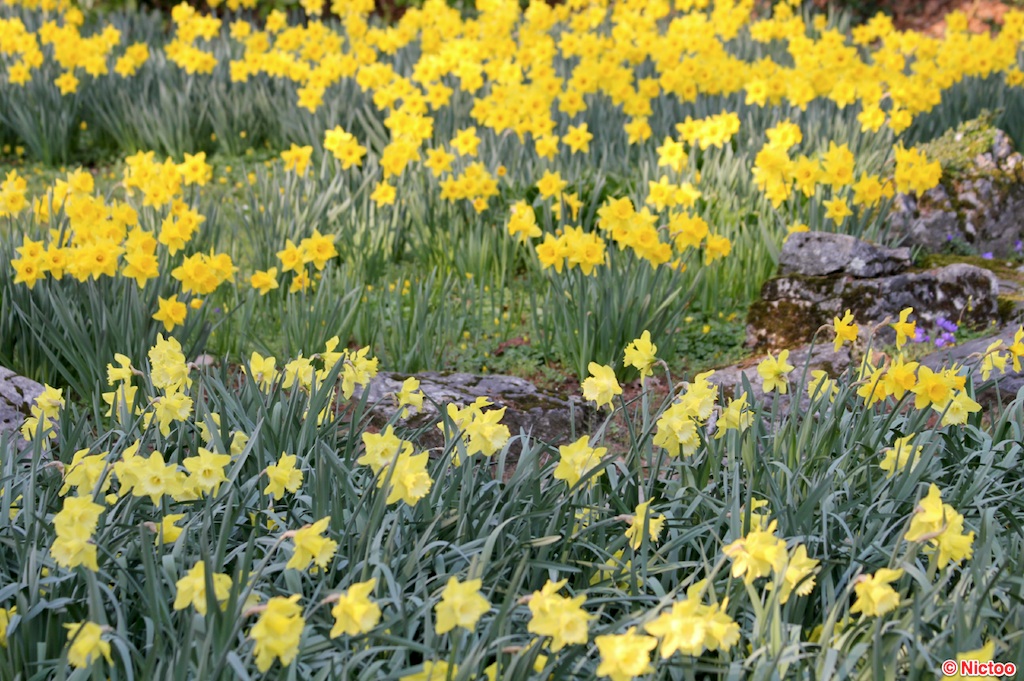 IMG_0642.JPG (300_2046).jpg