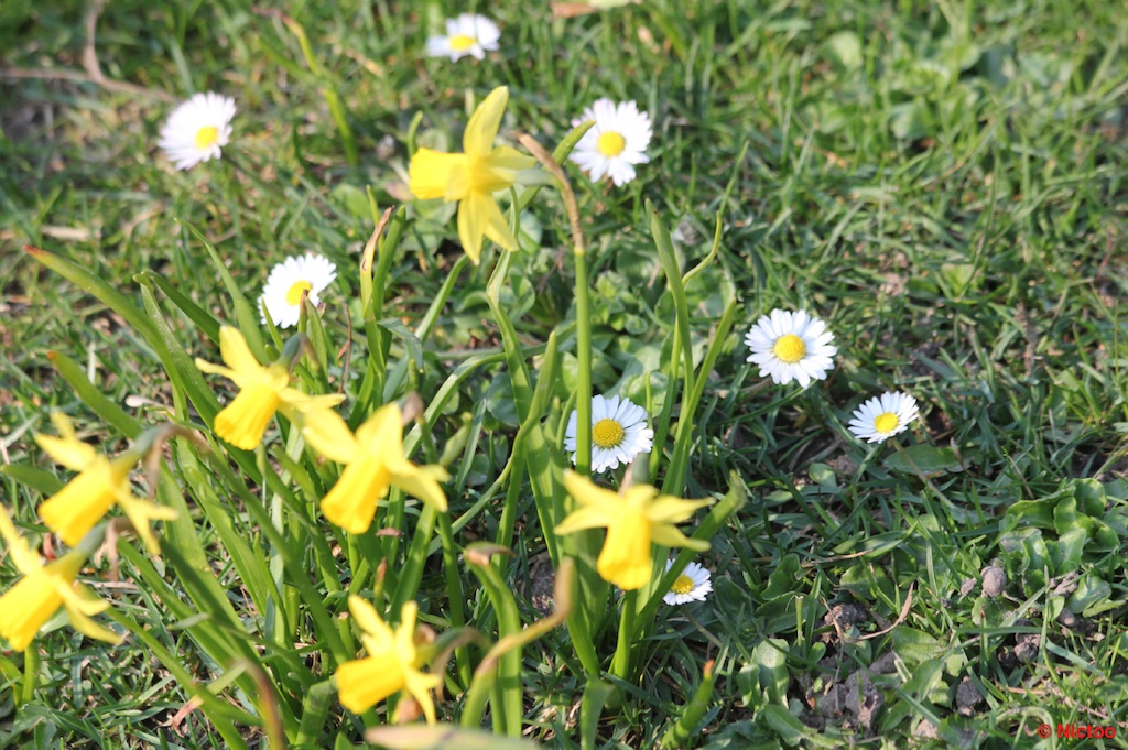 IMG_0637.JPG (295_2046).jpg