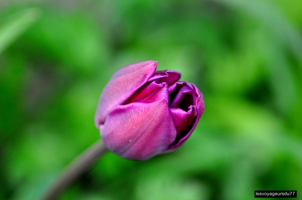 DSC_3876-1 [1024x768].jpg