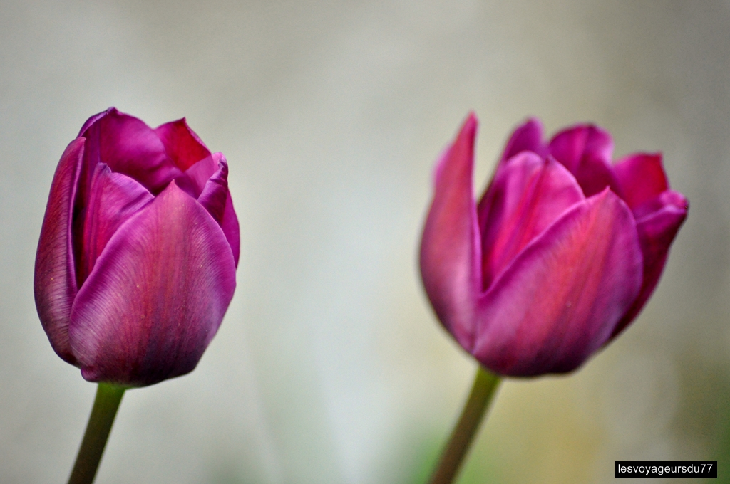 DSC_3889-1 [1024x768].jpg