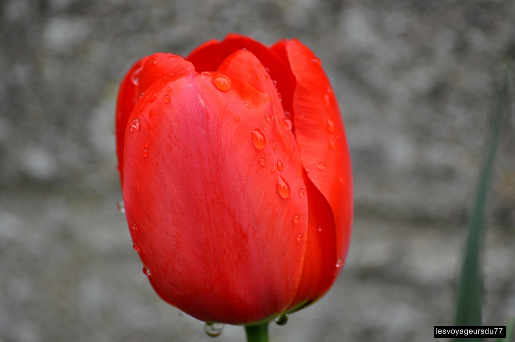 DSC_3917-1 [1024x768].jpg