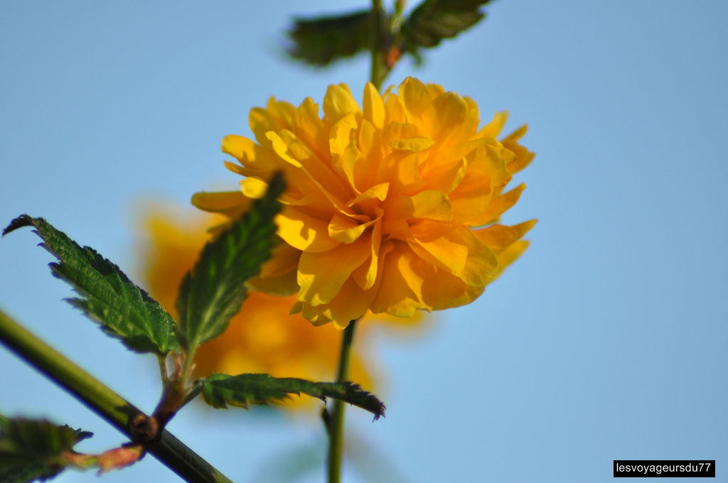 DSC_3921-1 [1024x768].jpg