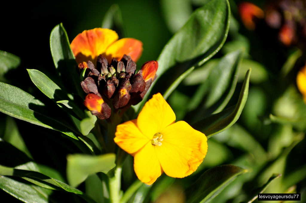 DSC_3924-1 [1024x768].jpg