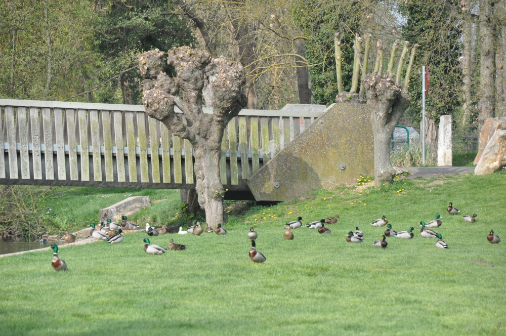 et ce n'est qu'une petite partie de la colonie