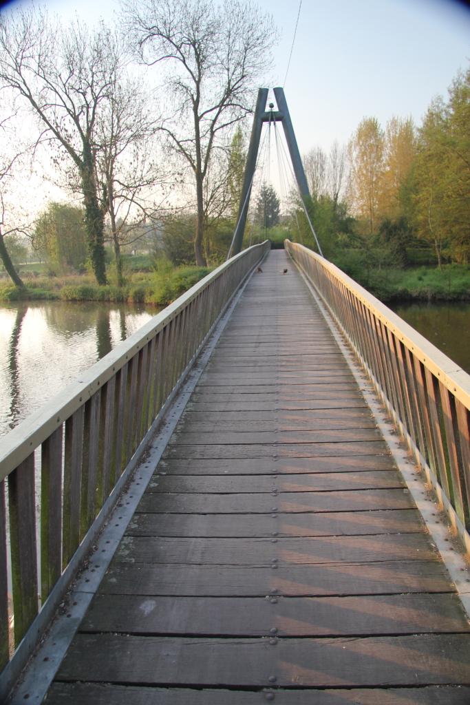 20110408_0046-1024.JPG