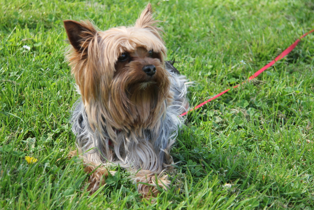 20110408_0107-1024.JPG