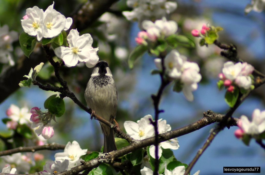 DSC_4144-1 [1024x768].jpg