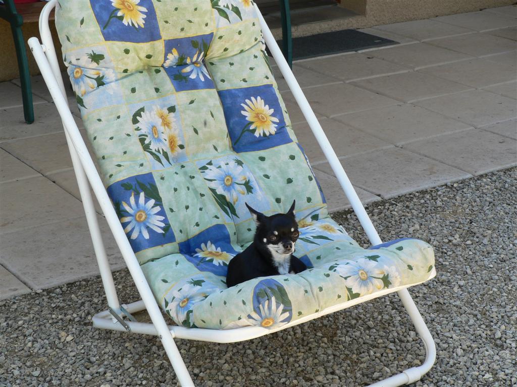 P1040559 (Large).JPG