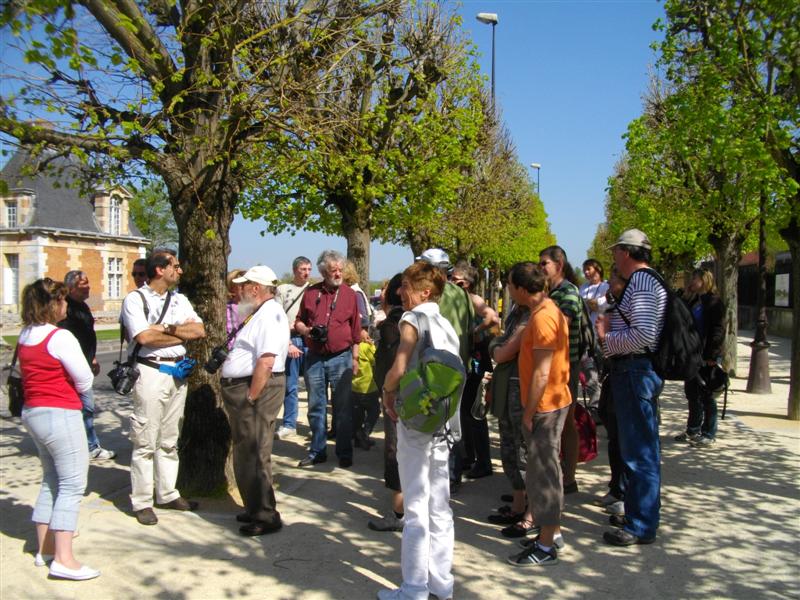 IMGP2559 (Medium).JPG