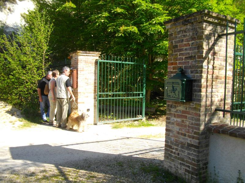 IMGP2580 (Medium).JPG