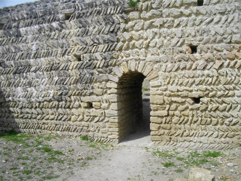 IMGP2594 (Medium).JPG