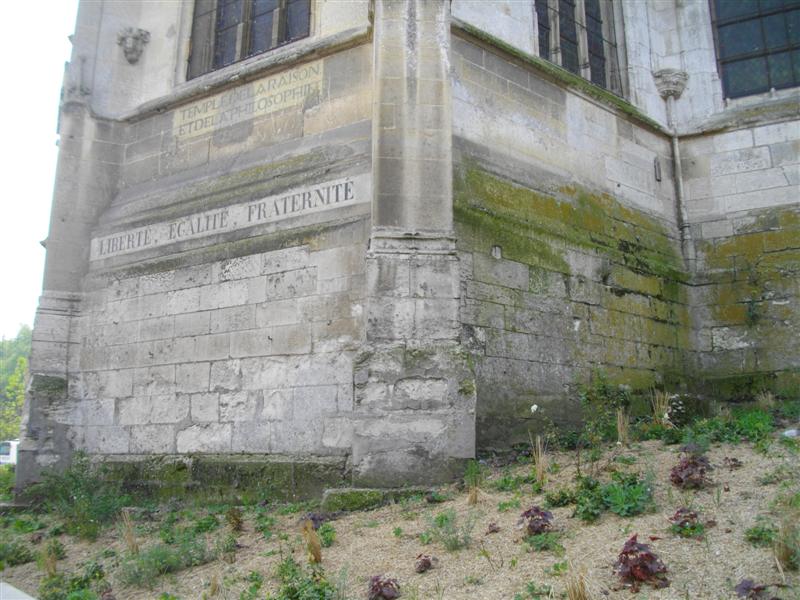 IMGP2605 (Medium).JPG