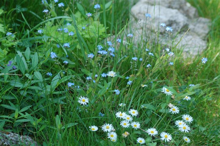 DSC_6045 (Small).JPG