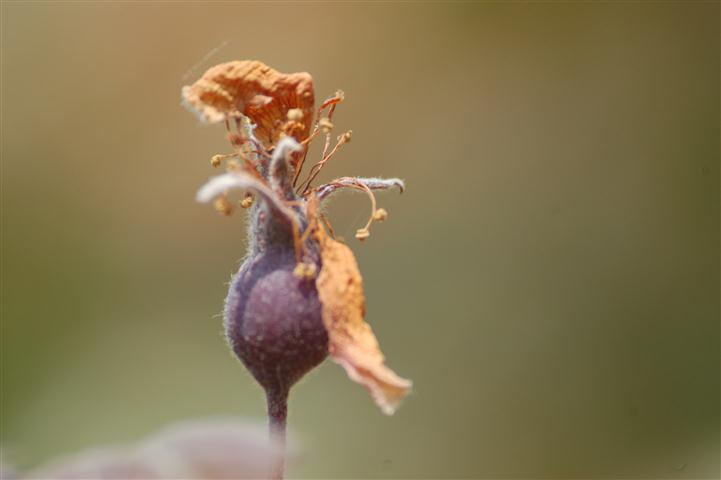 DSC_6055 (Small).JPG