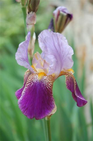 DSC_6152 (Small).JPG