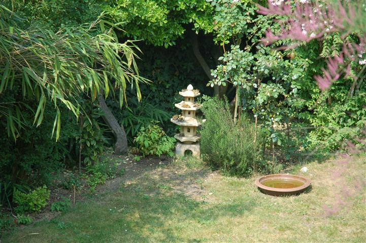 DSC_6122 (Small).JPG