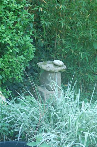 DSC_6046 (Small).JPG