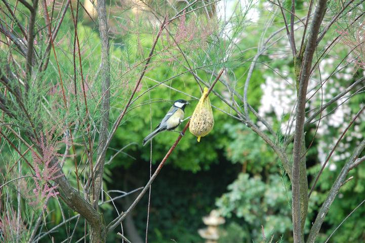 DSC_6141 (Small).JPG