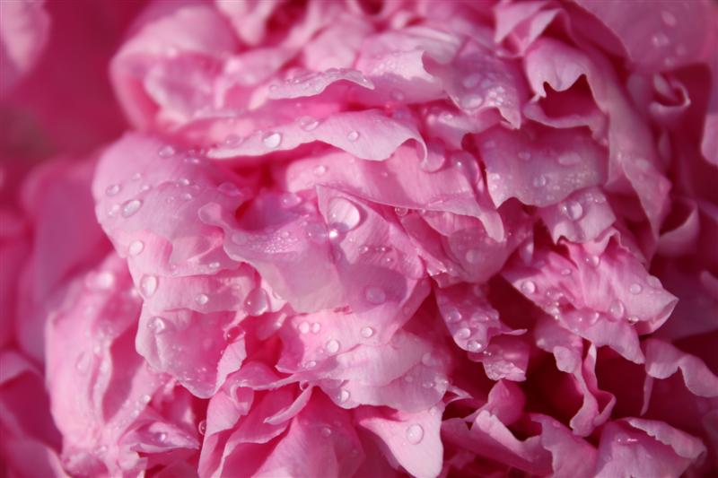 IMG_4296 (Medium).JPG