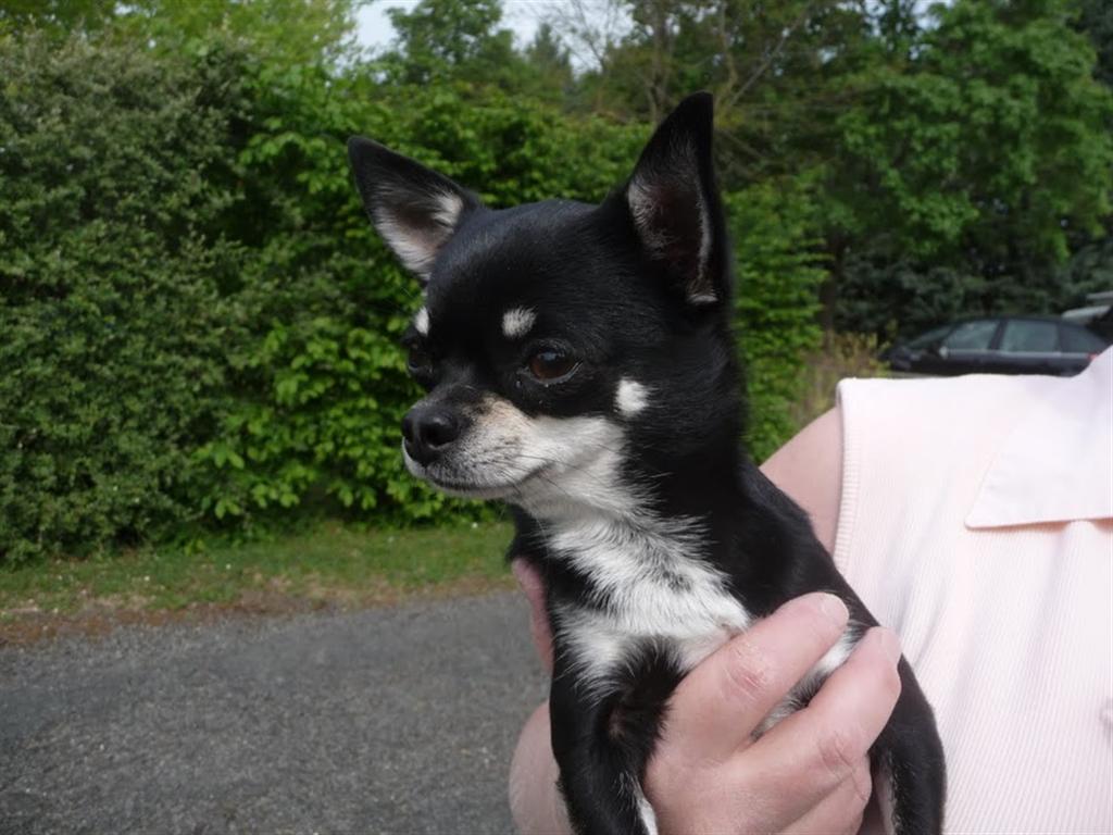 20110423_0985 (Large).JPG