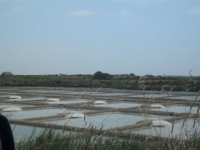 les marais salants