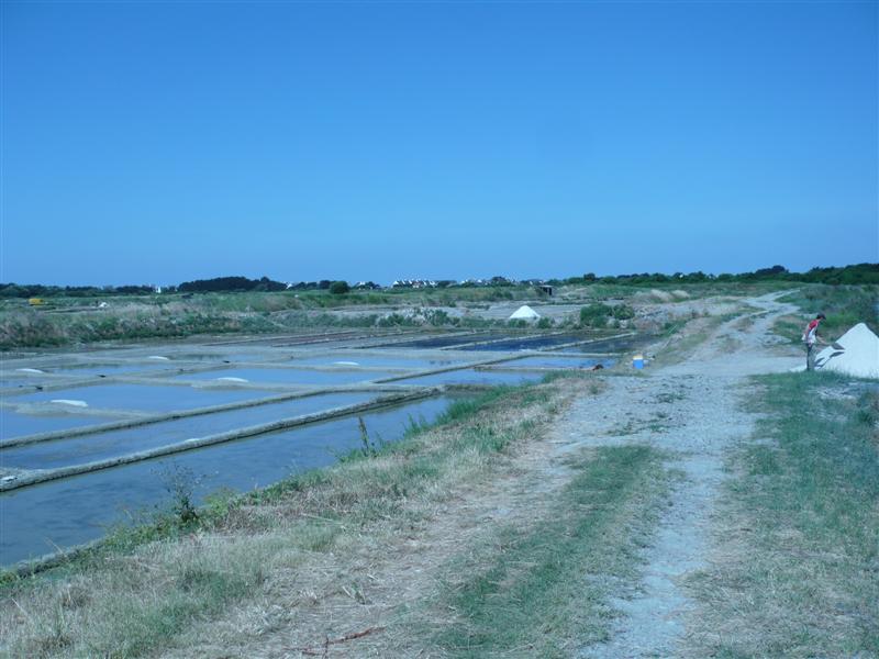 P1020659 (Medium).JPG