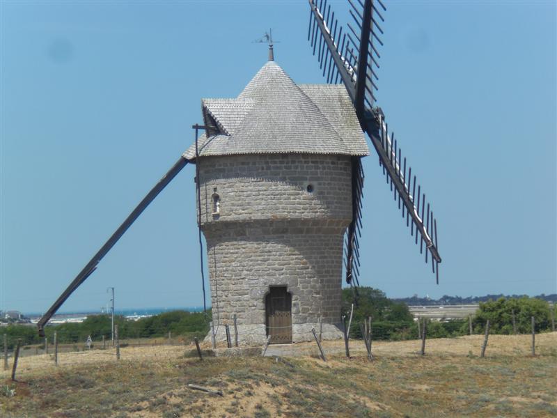 CIMG0264 (Medium).JPG