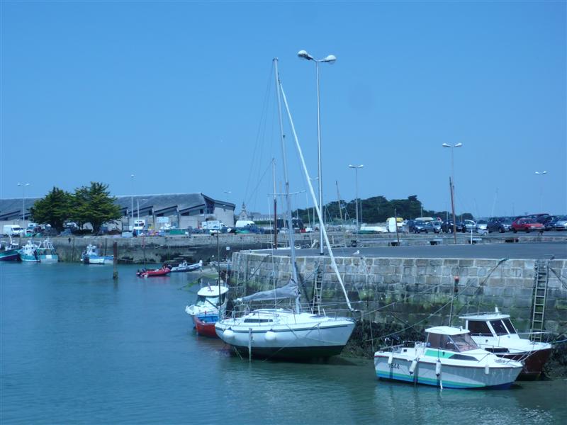 P1020666 (Medium).JPG