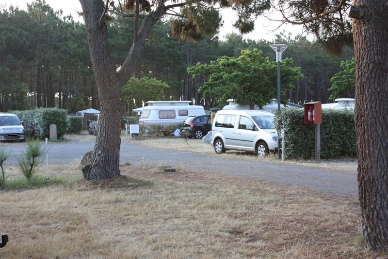 IMG_5287 (Medium).JPG