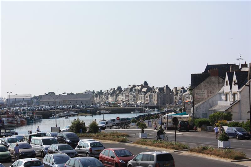 JIMG_5293 (Medium).JPG