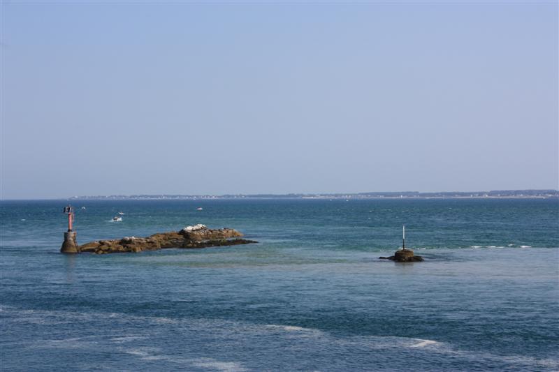 JIMG_5295 (Medium).JPG