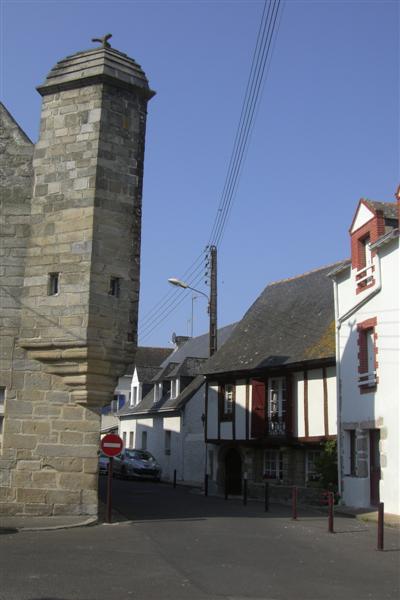 JIMG_8065 (Medium).JPG