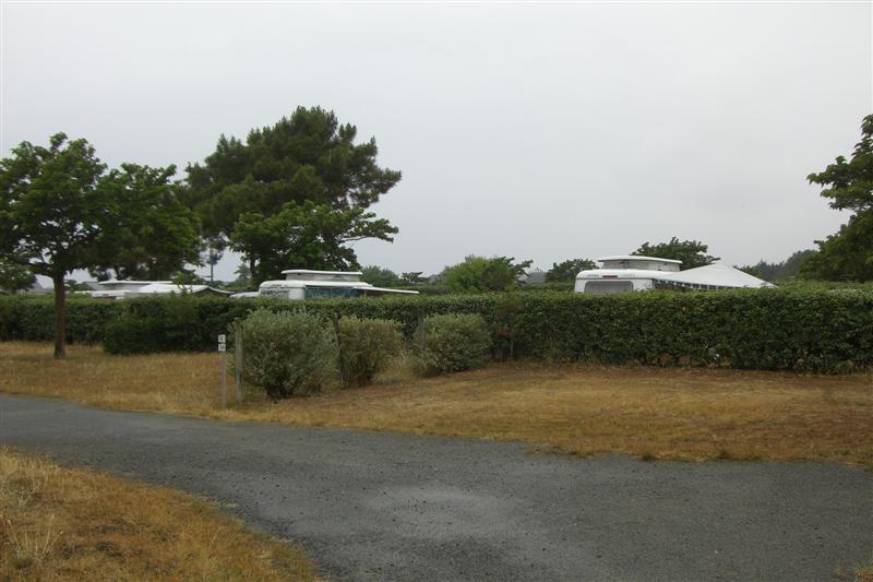 LIMG8067 (Medium).JPG