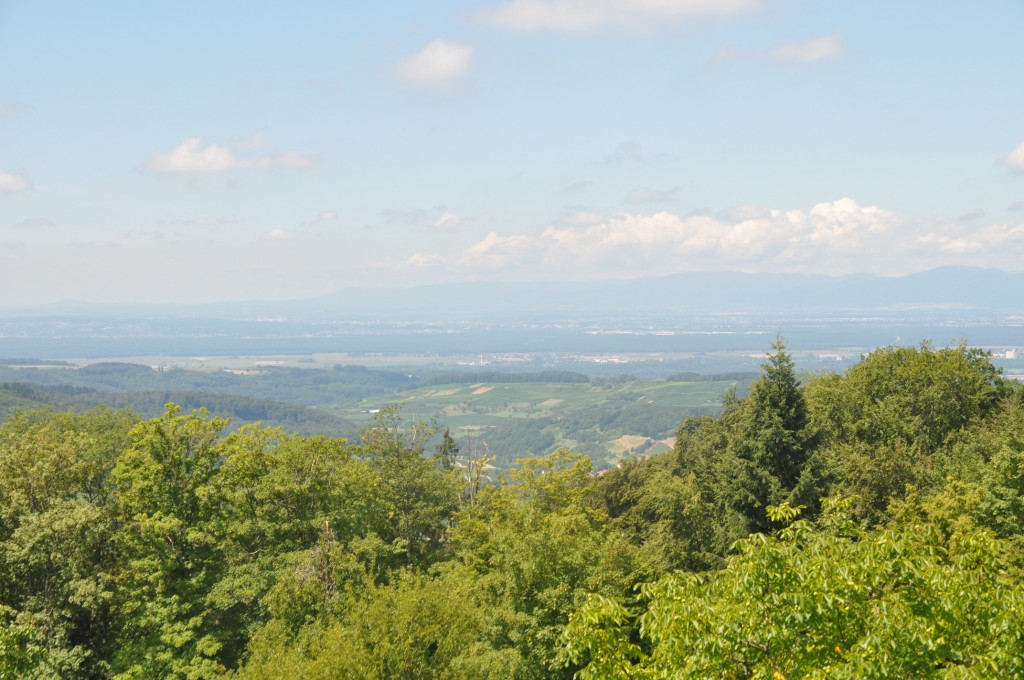 Schloß Bürgel_02  .JPG