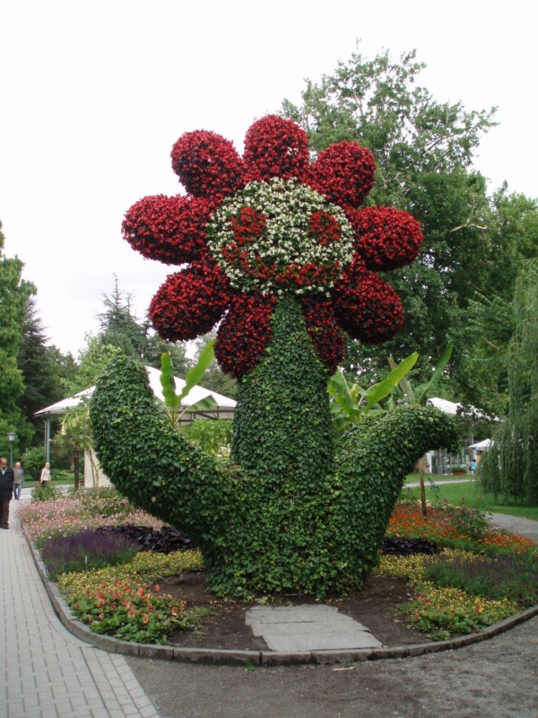 L'ile Mainau