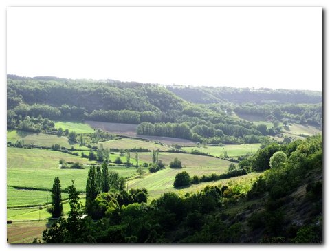 08-08-2011_achat-retour-maison (5).jpg