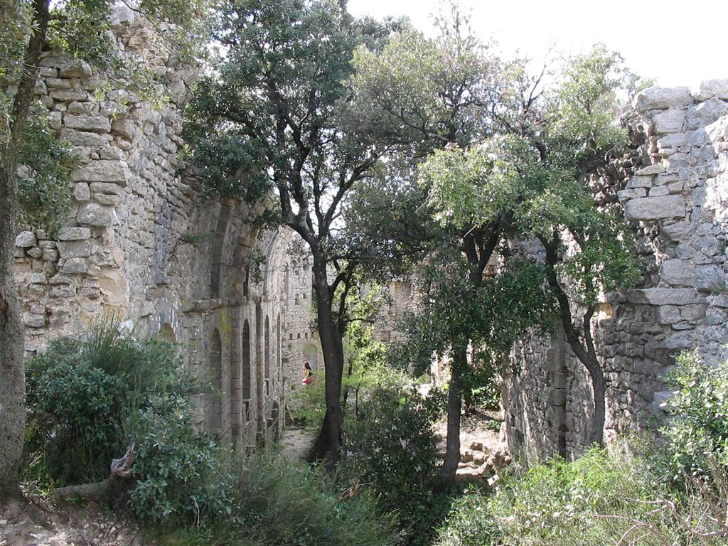 Photo 013 (Large).jpg