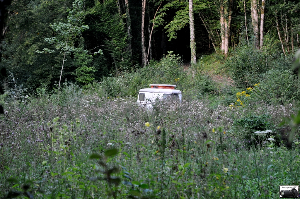 DSC_6363S [1024x768].jpg