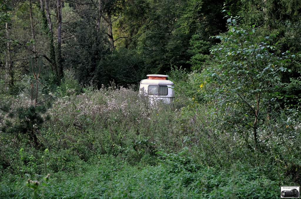 DSC_6364S [1024x768].jpg