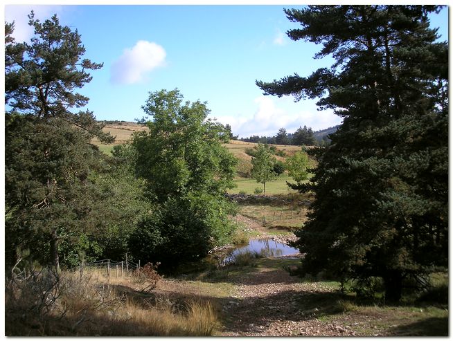 fraisse_chemin _serres_torrent.JPG